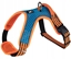 Picture of Barry King Szelki, dla psa, niebiesko-pomaraczowe, odblaskowe, rozmiar S, podkadka pod szyj, ob.szyi 38-49cm/ob.klatki 41-63cm