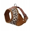 Picture of Barry King Szelki, dla psa, wzór leopard, S, ob.szyi 27cm/ob.klatki 37-47cm