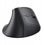 Изображение Bezvadu vertikala pele 2 4 GHz / Bluetooth 5.4 (regulejams DPI)  melna