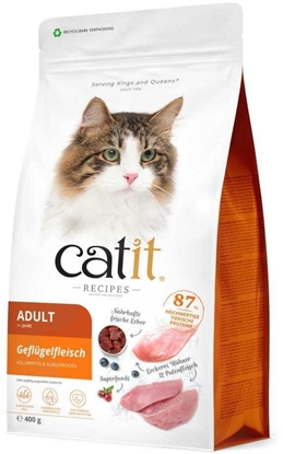 Изображение Catit Recipes Adult Poultry, karma sucha, dla kotów dorosych, drób, 400g
