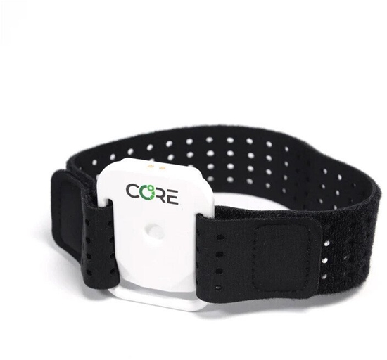 Picture of Core CORE | Arm Strap CORE1