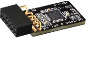 Picture of Dell Pyta gówna TPM 2.0 security module for PowerEdge servers