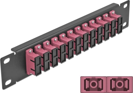 Picture of Delock 10″ Fiber Optic Patch Panel 12 Port SC Duplex violet 1U black
