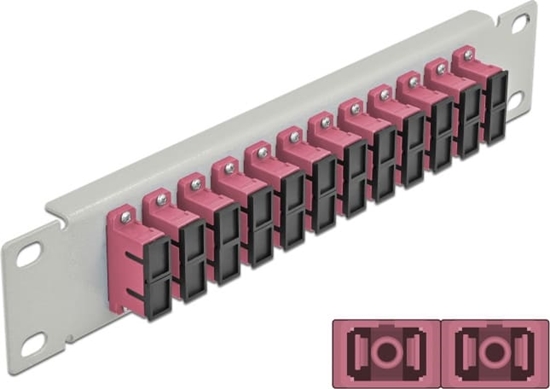 Picture of Delock 10″ Fiber Optic Patch Panel 12 Port SC Duplex violet 1U grey