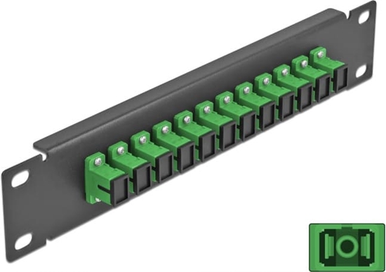 Picture of Delock 10″ Fiber Optic Patch Panel 12 Port SC Simplex green 1U black
