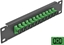 Picture of Delock 10″ Fiber Optic Patch Panel 12 Port SC Simplex green 1U black