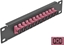 Attēls no Delock 10″ Fiber Optic Patch Panel 12 Port SC Simplex violet 1U black