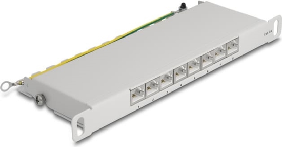 Picture of Delock 10″ Patch Panel 8 port Cat.6A 0.5U grey
