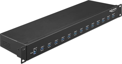 Attēls no Delock 19″ Industry Hub 13 x USB 3.1 Gen 1 Type-A