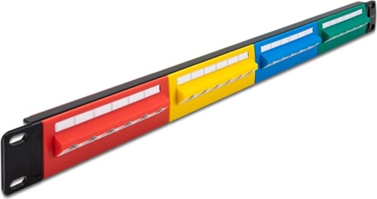 Изображение Delock 19″ Patch Panel 24 port Cat.5e 1U coloured