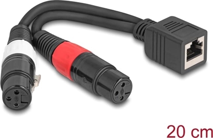 Attēls no Delock Adapter Cable RJ45 jack to 2 x XLR 3 pin jack black 20 cm