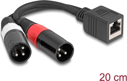 Attēls no Delock Adapter Cable RJ45 jack to 2 x XLR 3 pin plug black 20 cm