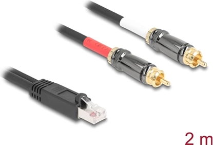 Attēls no Delock Adapter Cable RJ45 plug to 2 x RCA male black 2 m