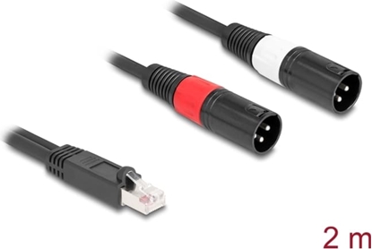 Attēls no Delock Adapter Cable RJ45 plug to 2 x XLR 3 pin plug black 2 m