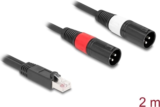 Picture of Delock Adapter Cable RJ45 plug to 2 x XLR 3 pin plug black 2 m