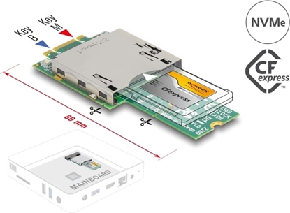 Изображение Delock Adapter M.2 Key B+M male to CFexpress Slot