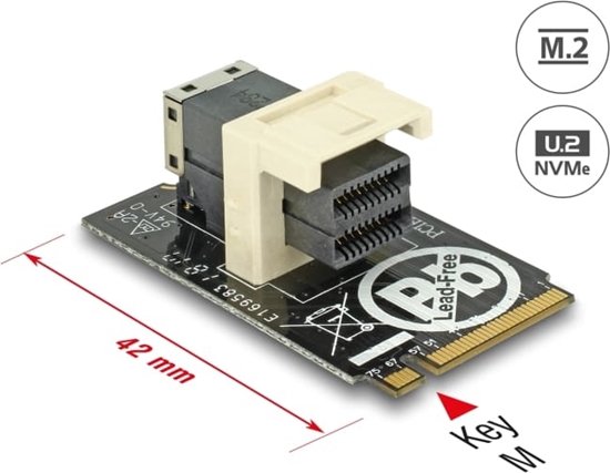 Picture of Delock Adapter M.2 Key M > SFF-8643 NVMe horizontal 2242