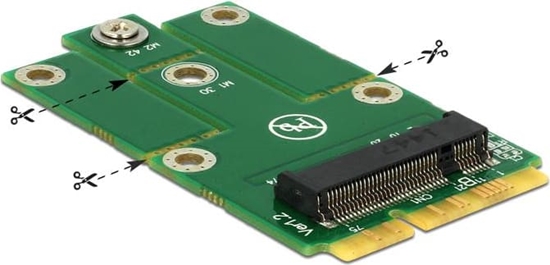 Picture of Delock Adapter MiniPCIe > M.2 NGFF