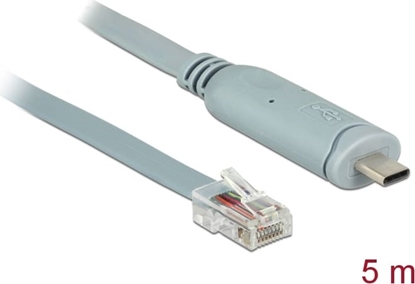 Picture of Delock Adapter USB 2.0 Type-C™ male > 1 x Serial RS-232 RJ45 male 5.0 m grey