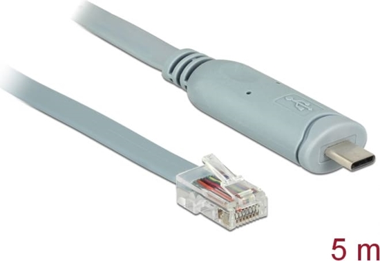 Picture of Delock Adapter USB 2.0 Type-C™ male > 1 x Serial RS-232 RJ45 male 5.0 m grey