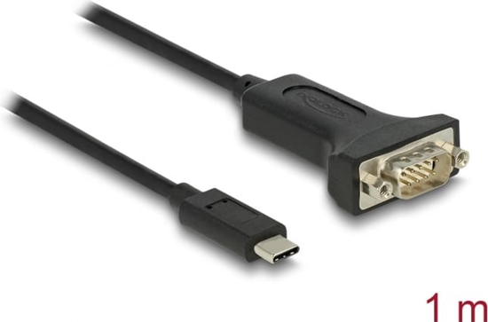 Picture of Delock Adapter USB Type-C™ to 1 x Serial RS-232 D-Sub 9 pin male with nuts 1 m