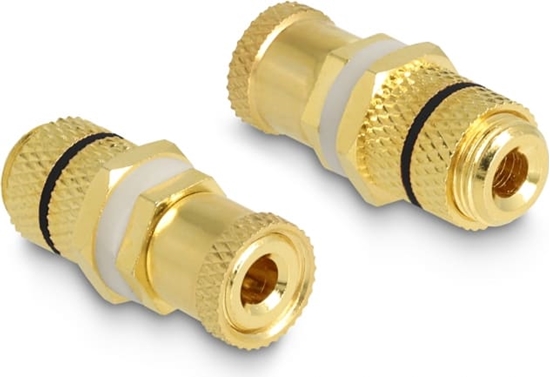 Picture of Delock Audio Adapter binding post to binding post for installation, black ring