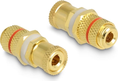 Picture of Delock Audio Adapter binding post to binding post for installation, red ring