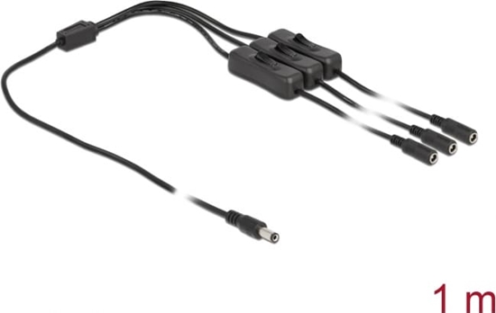 Изображение Delock Cable DC 5.5 x 2.1 mm male to 3 x DC female with switch 1 m