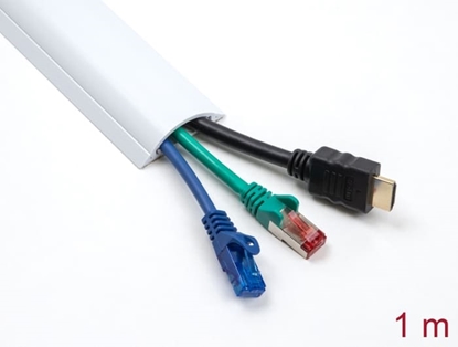 Picture of Delock Cable Duct self-adhesive 50 x 12 mm - length 1 m white
