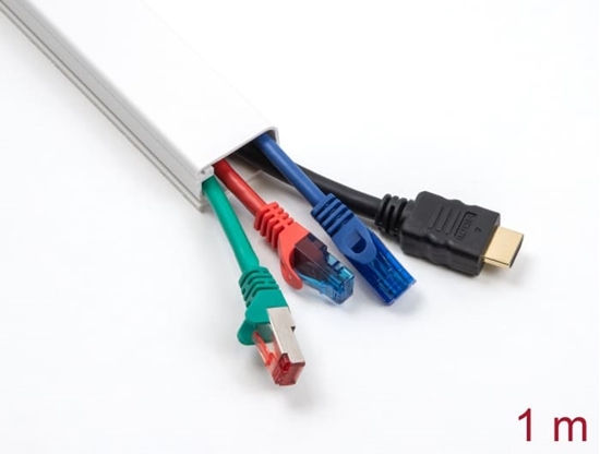 Picture of Delock Cable Duct with Cover self-adhesive 83 x 54 mm - length 1 m white