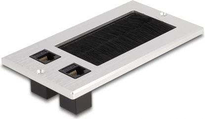 Picture of Delock Cable entry with brush and 2 x RJ45 Keystone module Cat.6 aluminium