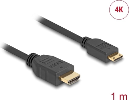 Picture of Delock Cable High Speed HDMI with Ethernet - HDMI-A male > HDMI Mini-C male 4K 1 m Slim