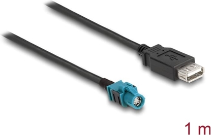 Picture of Delock Cable HSD Z female to USB 2.0 Type-A female 1 m