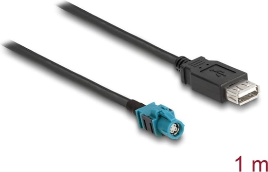 Picture of Delock Cable HSD Z female to USB 2.0 Type-A female 1 m