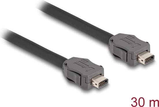 Picture of Delock Cable ix Industrial® (A-coded) plug to plug Cat.7 30 m