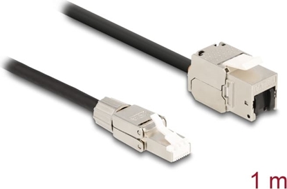 Picture of Delock Cable RJ45 plug field assembly to Keystone Module RJ45 jack Cat.6A 1 m