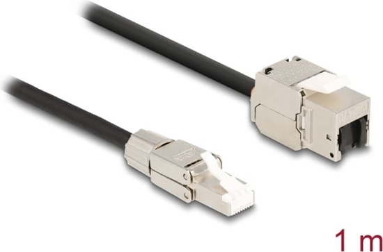 Picture of Delock Cable RJ45 plug field assembly to Keystone Module RJ45 jack Cat.6A 1 m