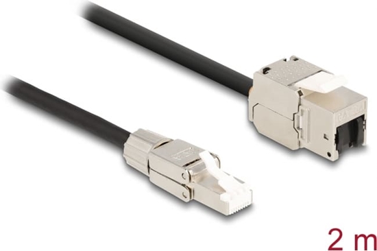 Picture of Delock Cable RJ45 plug field assembly to Keystone Module RJ45 jack Cat.6A 2 m