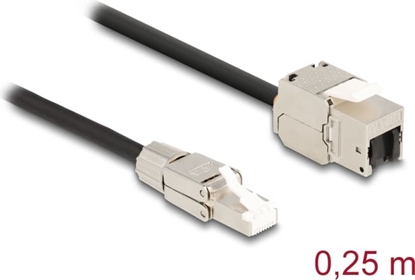 Picture of Delock Cable RJ45 plug field assembly to Keystone Module RJ45 jack Cat.6A 25 cm