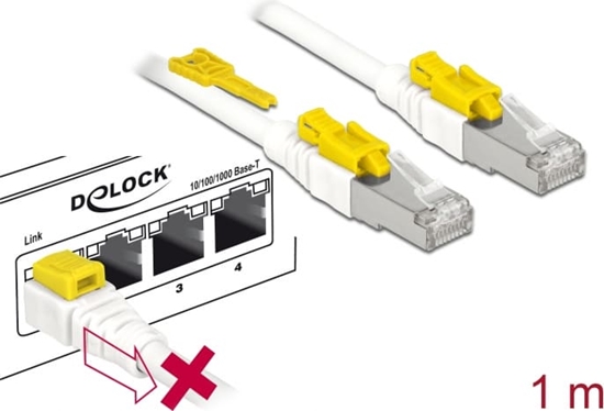 Picture of Delock Cable RJ45 Secure Cat.6A 1 m