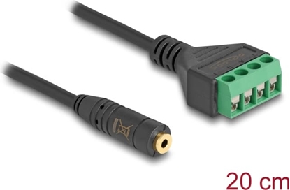 Picture of Delock Cable Stereo jack female 2.5 mm 4 pin to Terminal Block Adapter 20 cm