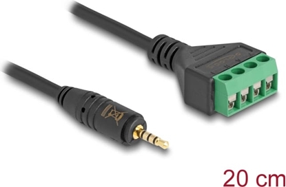 Picture of Delock Cable Stereo jack male 2.5 mm 4 pin to Terminal Block Adapter 20 cm