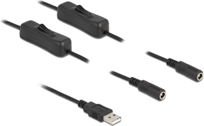 Picture of Delock Cable USB Type-A male to 2 x DC 5.5 x 2.1 mm female with switch 1 m