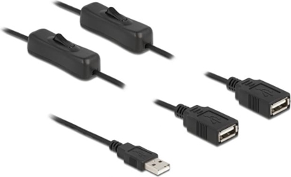 Picture of Delock Cable USB Type-A male to 2 x USB Type-A female with switch 1 m