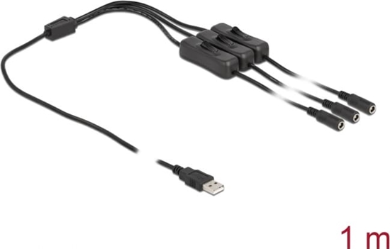 Picture of Delock Cable USB Type-A male to 3 x DC 5.5 x 2.1 mm female with switch 1 m