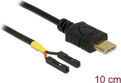 Picture of Delock Cable USB Type-C™ male > 2 x pin header female separate power 10 cm
