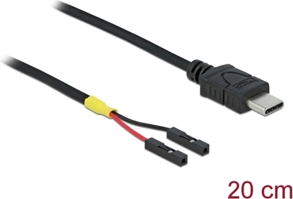 Picture of Delock Cable USB Type-C™ male > 2 x pin header female separate power 20 cm
