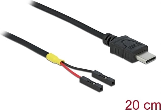 Picture of Delock Cable USB Type-C™ male > 2 x pin header female separate power 20 cm