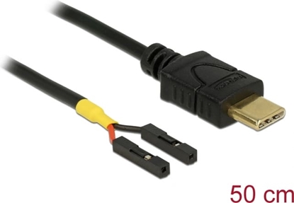 Изображение Delock Cable USB Type-C™ male > 2 x pin header female separate power 50 cm