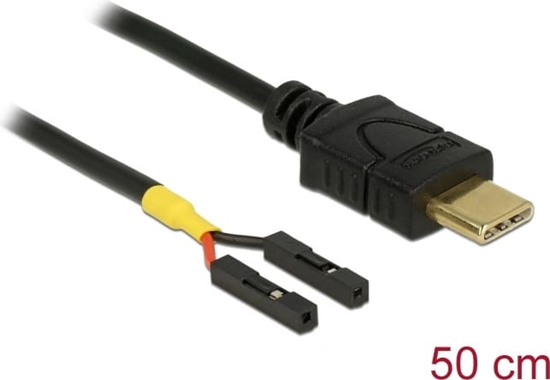 Изображение Delock Cable USB Type-C™ male > 2 x pin header female separate power 50 cm